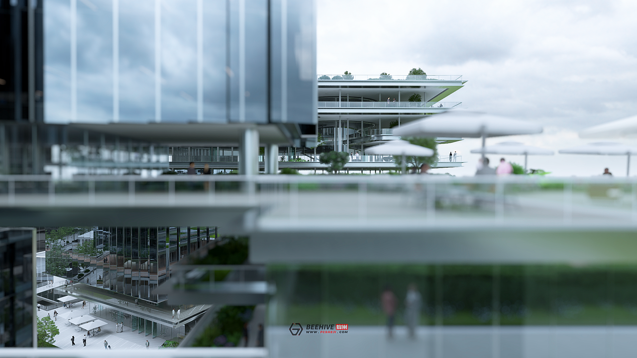 蜂巢动画 | 深港科创区