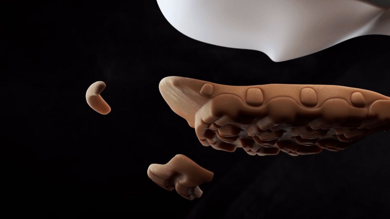 户外鞋 | 三维动画