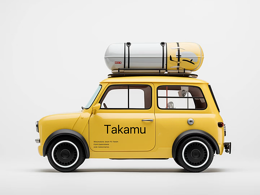 Takamu   mini    car
