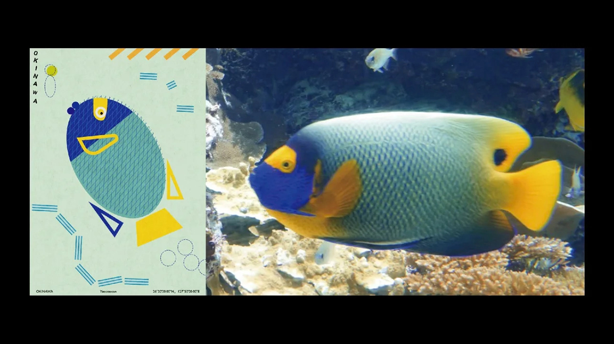 对生活细节的诗意洞察-yaoooooan观察日记系列 | 365天的好设计NO.15