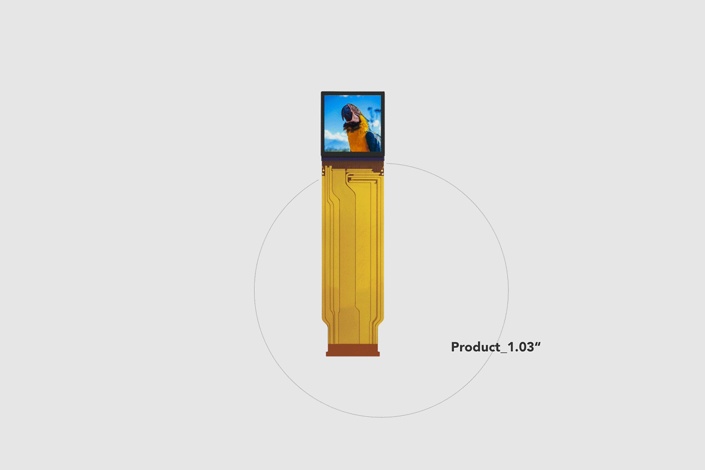 品牌网站设计*2—网站、App、小程序、h5案例