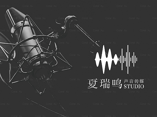 夏瑞鸣声音传媒VI设计
