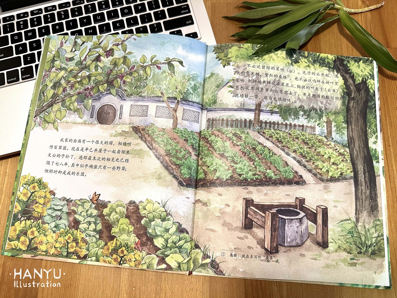 水彩绘本《从百草园到三味书屋》与《故都的秋》（图ZMzg0MjA4OTI4） - 绘本 - 站酷设计师画者自在HAN原创素材 - 站酷ZCOOL