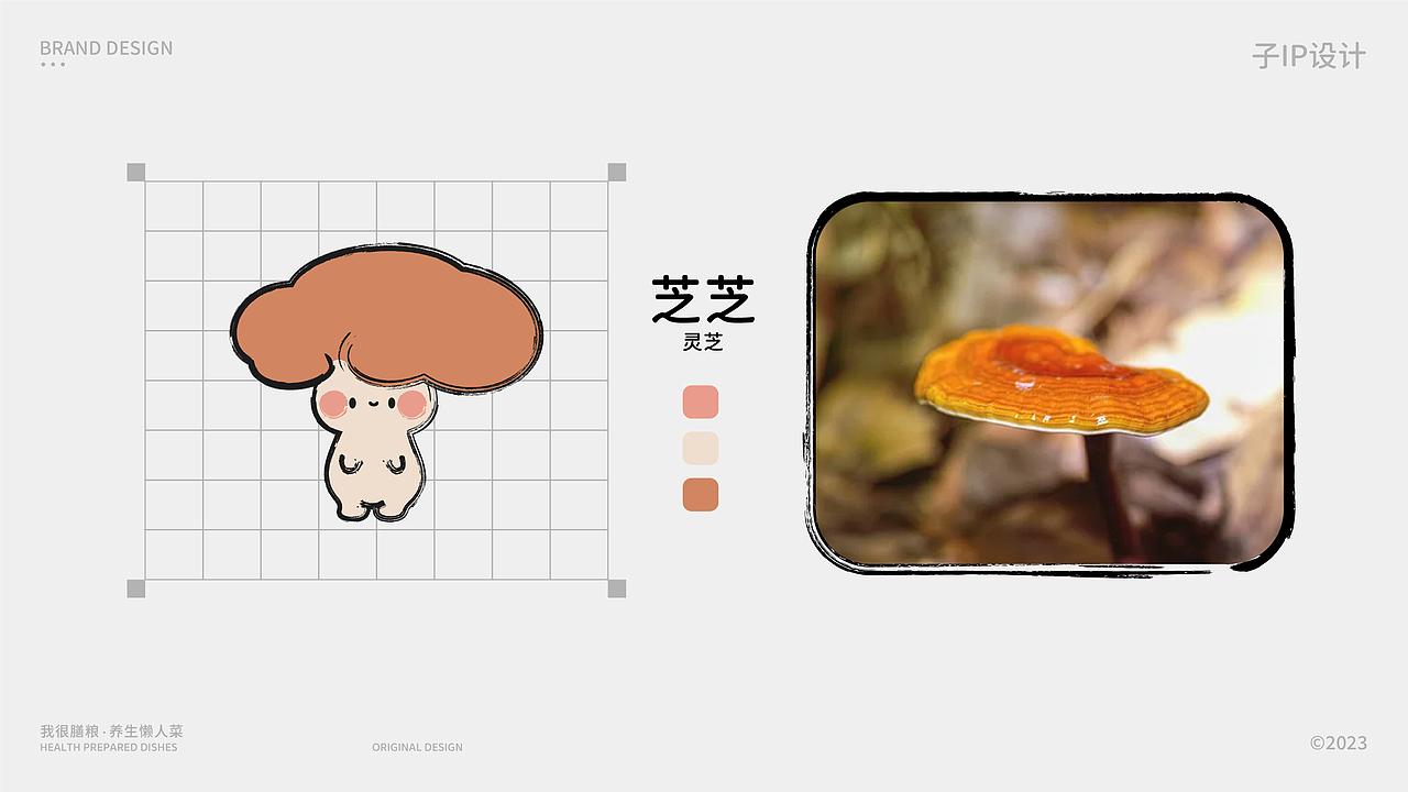 我很膳粮•养生懒人菜 I 品牌提案