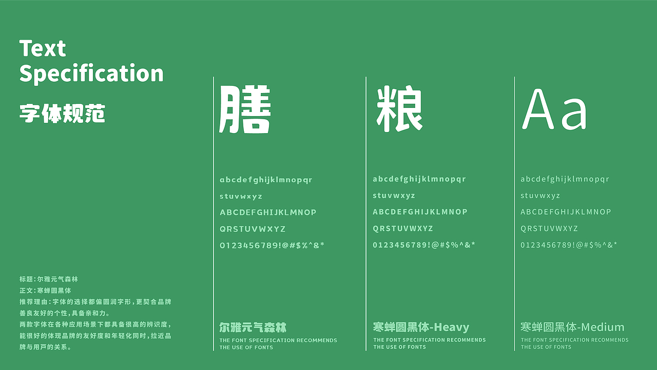 我很膳粮•养生懒人菜 I 品牌提案