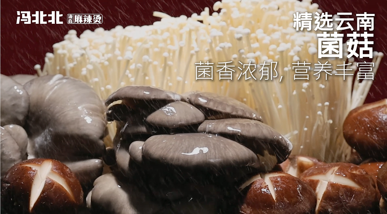 美食视频|冯北北麻辣烫x道盛源餐饮品牌策划