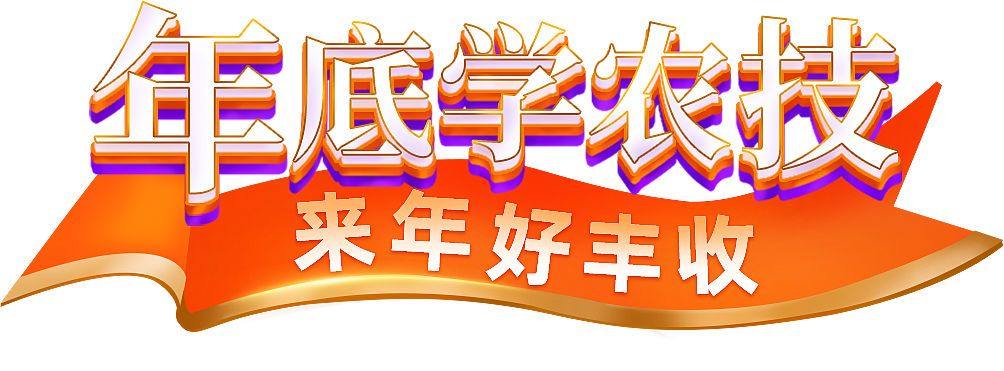 双12主题字创作
