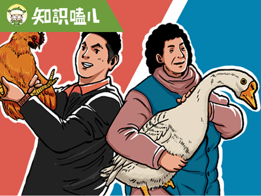 又双叒降温了，有人想穿“鸡绒服”试试吗？