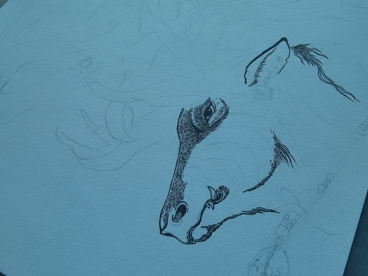 2025.01.15毣柞山海-北山经-县雍山-麋鹿