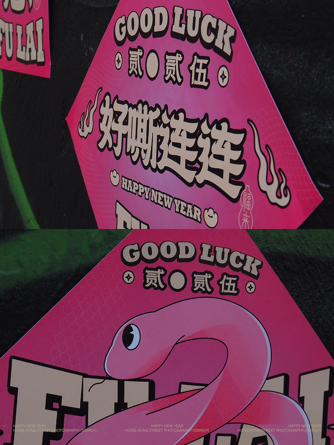 二0二五蛇年视觉形象设计！