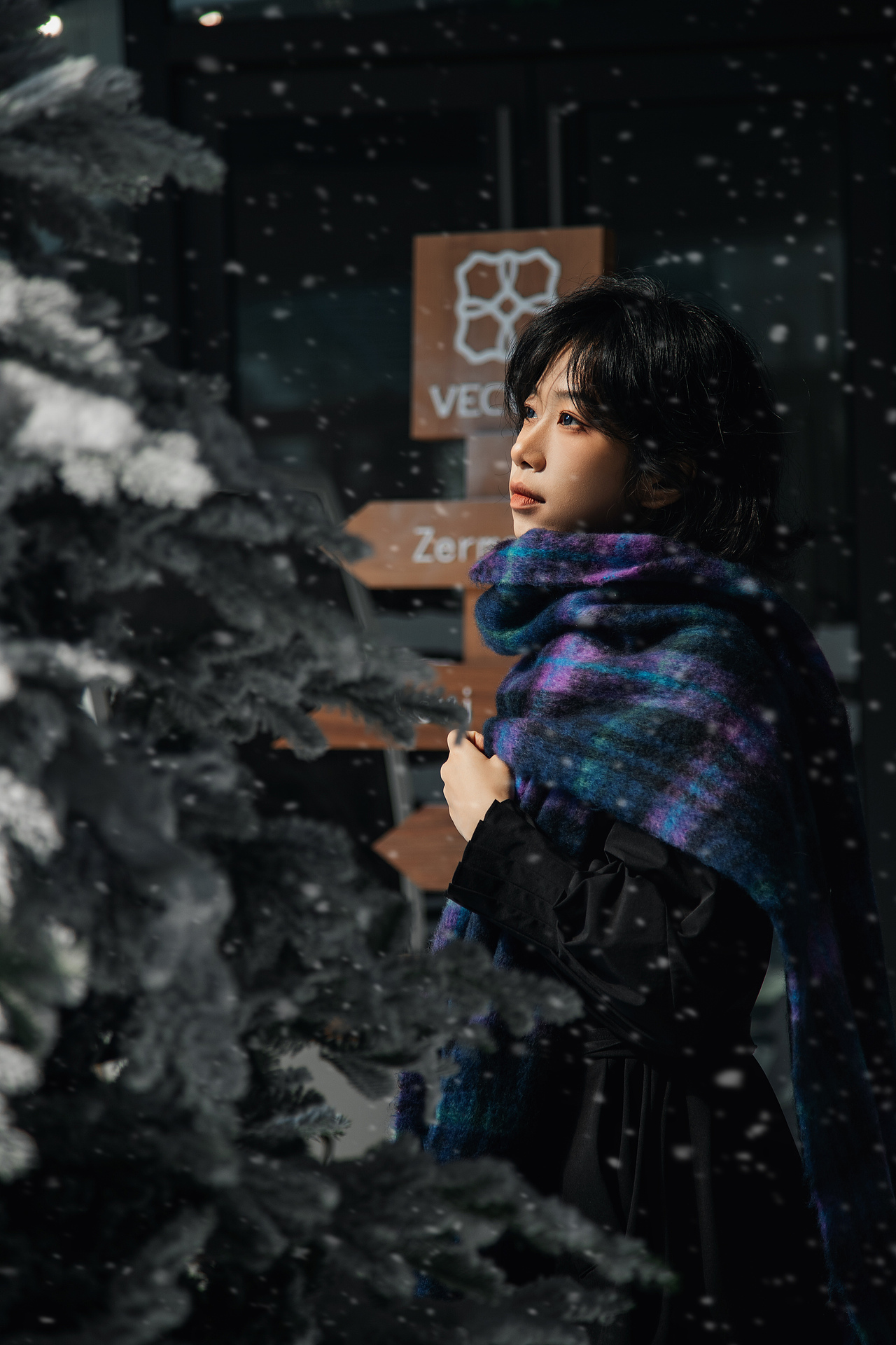 深圳的雪（图ZMzg0Mjc1NTQ0） - 人像摄影 - 站酷设计师春秋大梦的秋原创素材 - 站酷ZCOOL