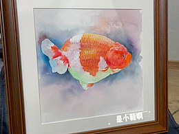 木木家的蘭壽 定制畫完成