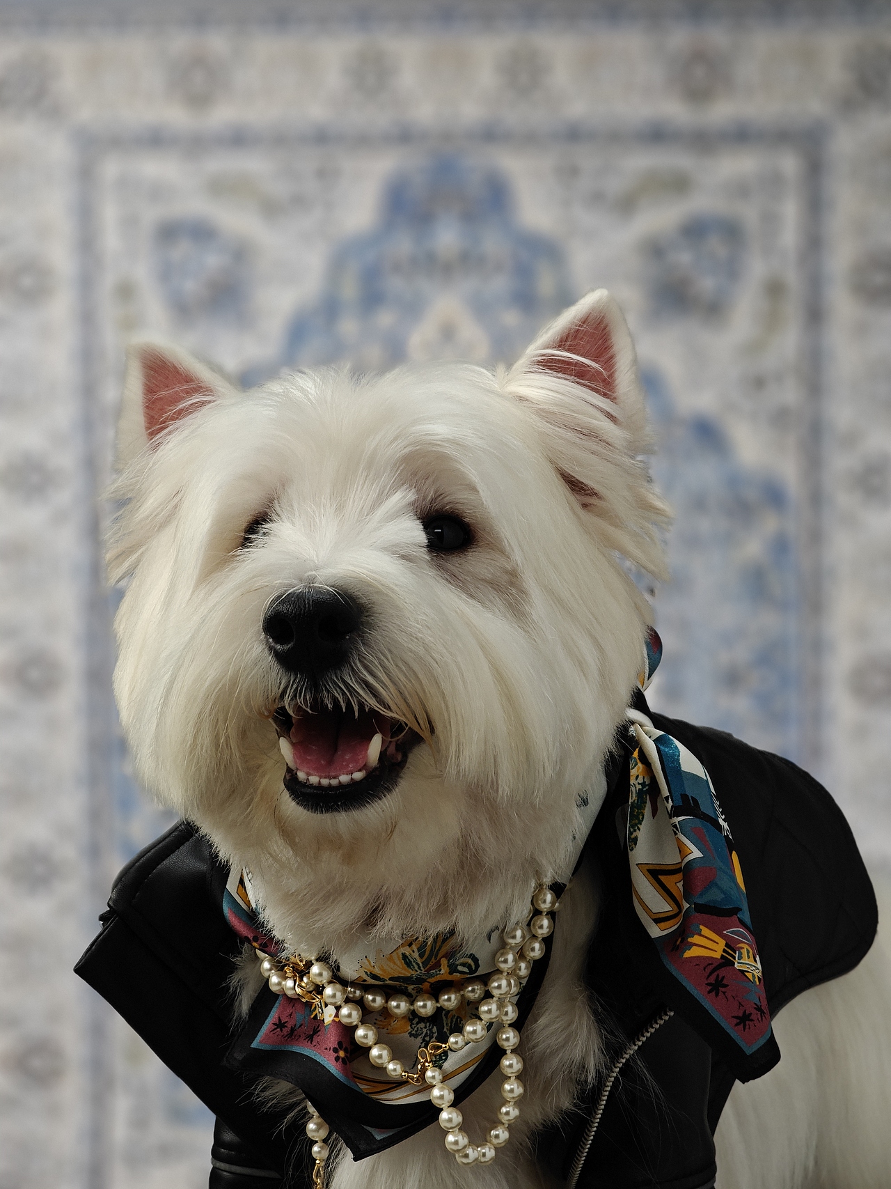 OPPO项目拍摄（图ZMzg0MzA0NDA0） - 时尚/艺术摄影 - 站酷设计师RC攝影工作室原创素材 - 站酷ZCOOL