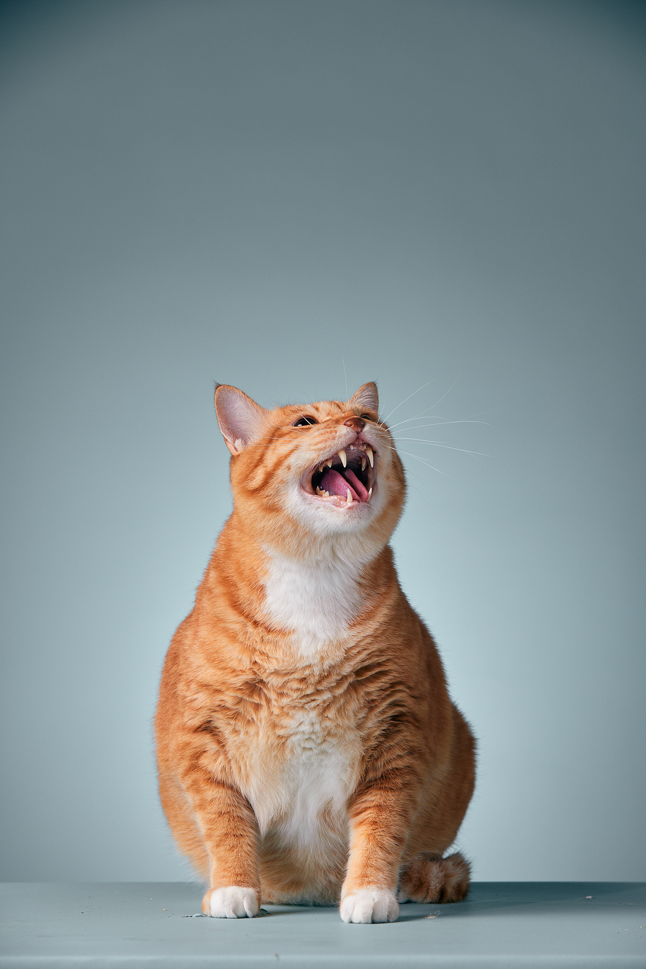 OPPO 商业拍摄案例分享