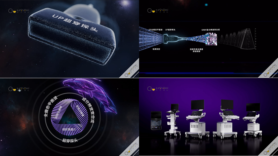 在过去中看见未来