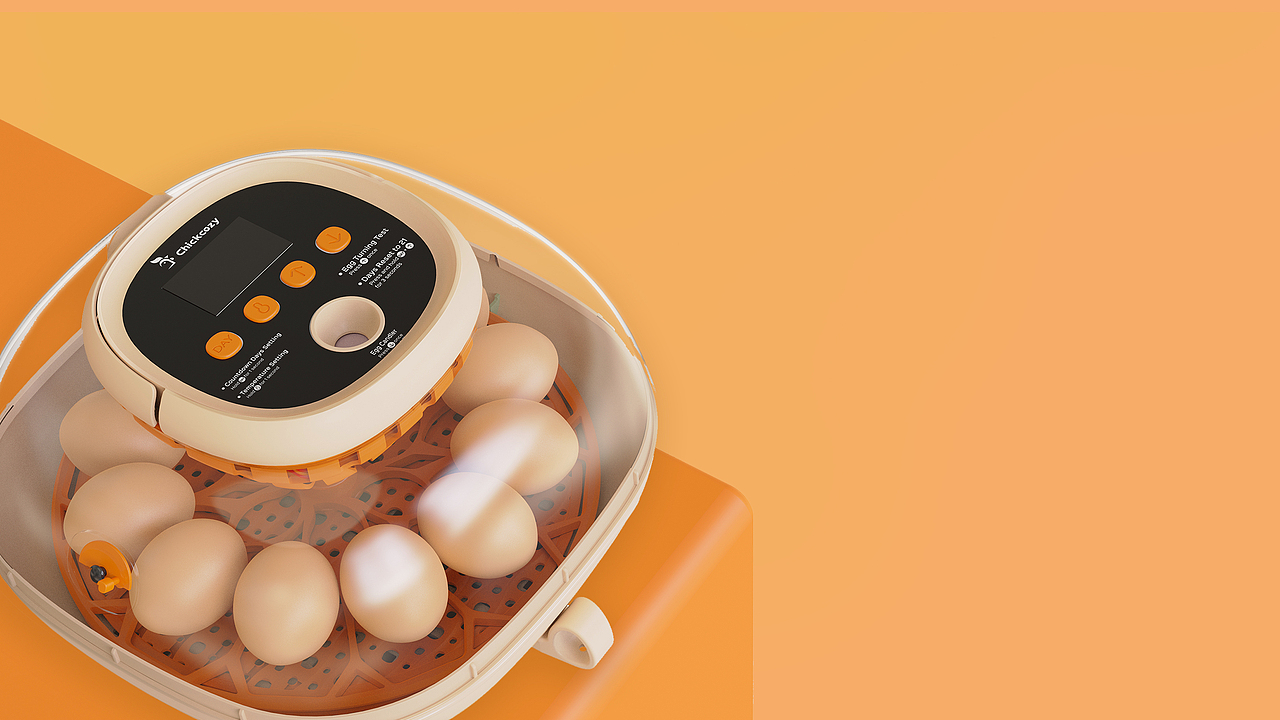 家庭宠物产品设计