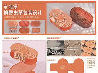 219618宝瓶堂鲜野虫草包装设计
