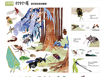 266583《恰恰鸣》——武汉湿地昆虫图录