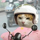 Huzq的头像