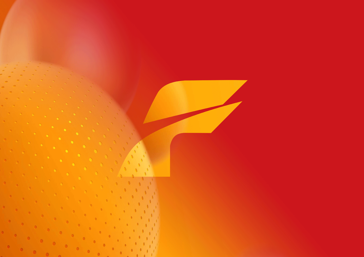 FOCUS新加坡力集润滑油品牌全案包装定位策划升级设计