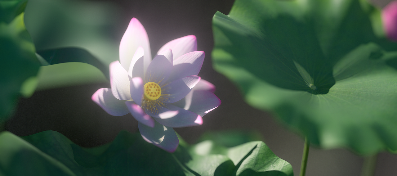 C4D实景复刻 - 《周屋祠堂-荷花塘》（图ZMzg0Mzg5NTY4） - 场景 - 站酷设计师小周童鞋丶原创素材 - 站酷ZCOOL