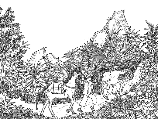 《茶马古道》普洱茶包装手绘插画长卷