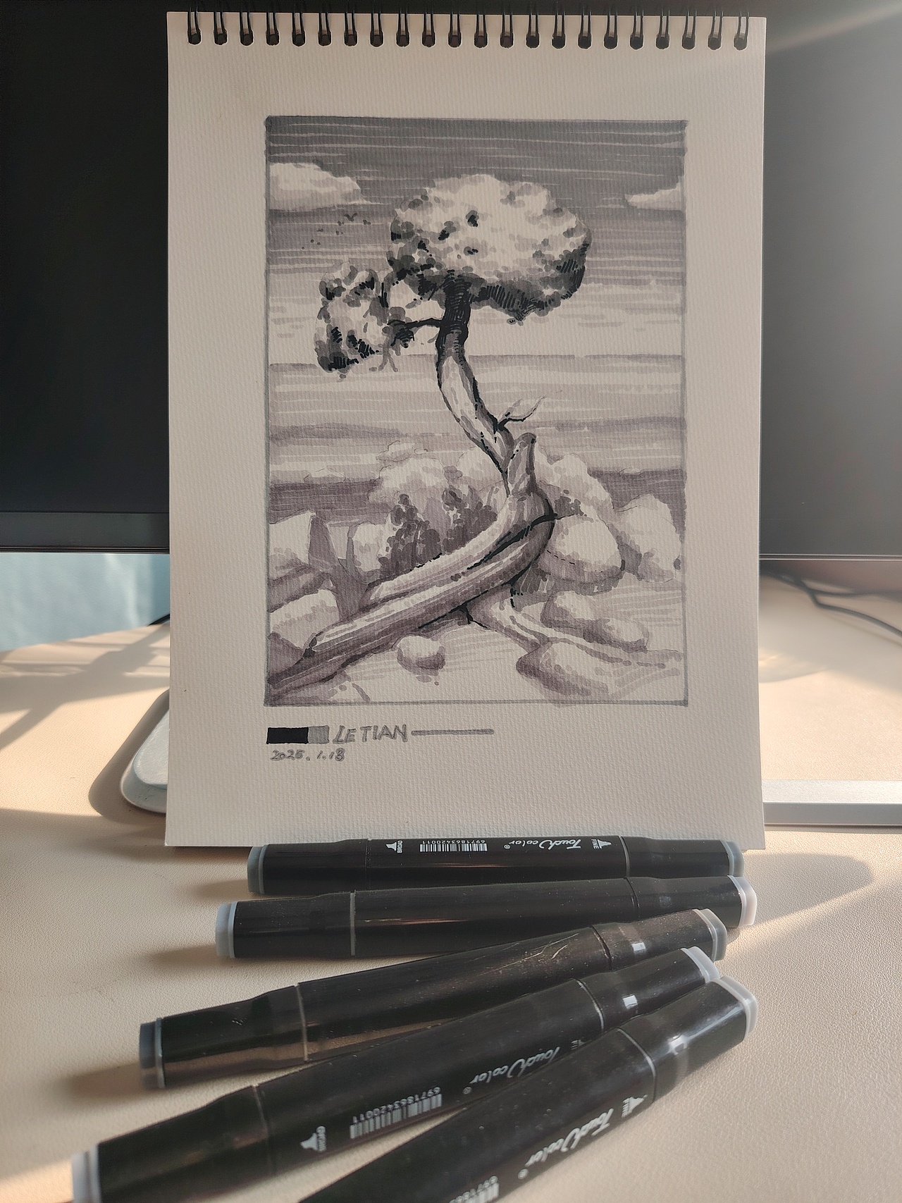 “海上之树”速涂练习~