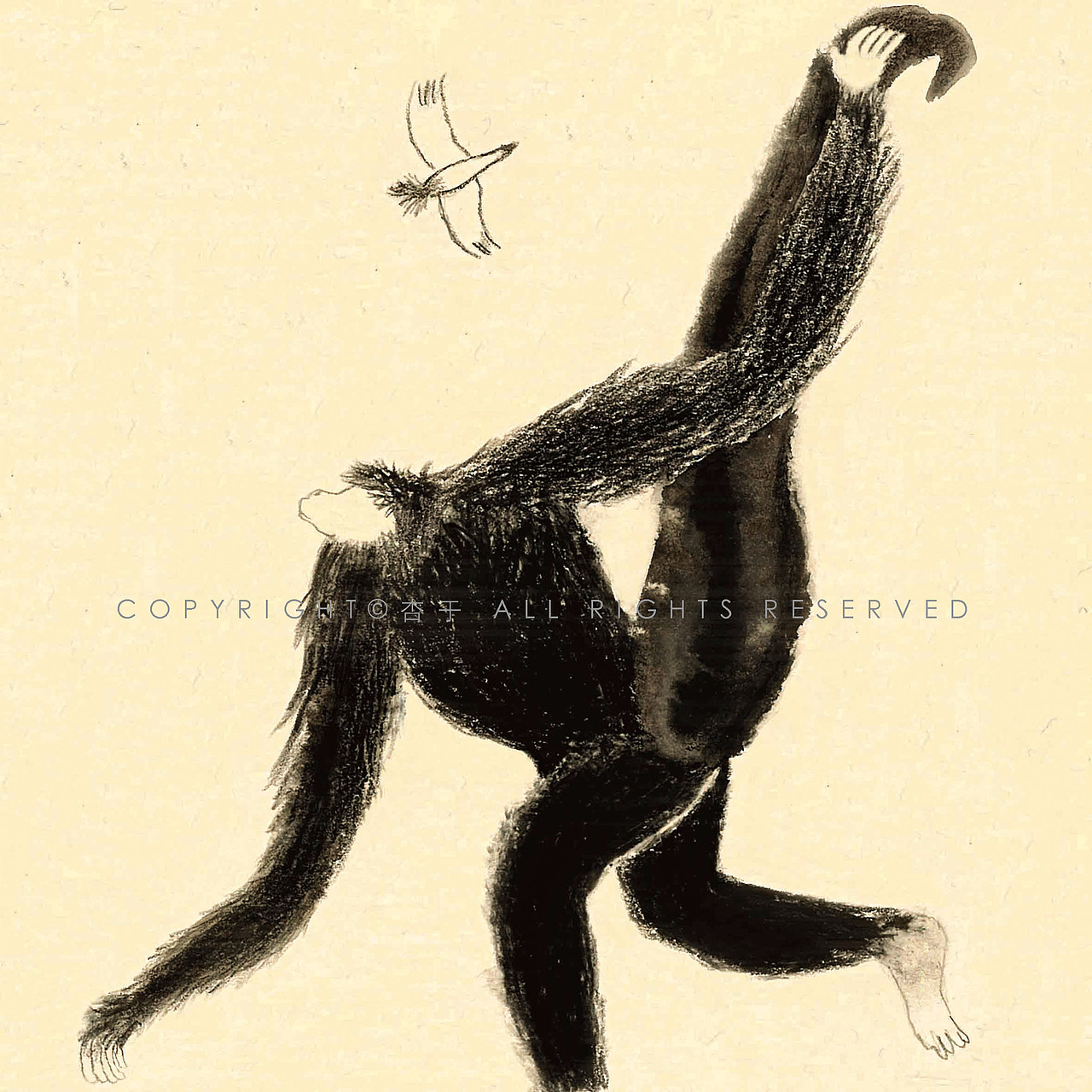 不会织网的蜘蛛猴