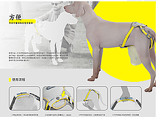 146879-“方便”导盲犬排泄物收集穿戴裤设计