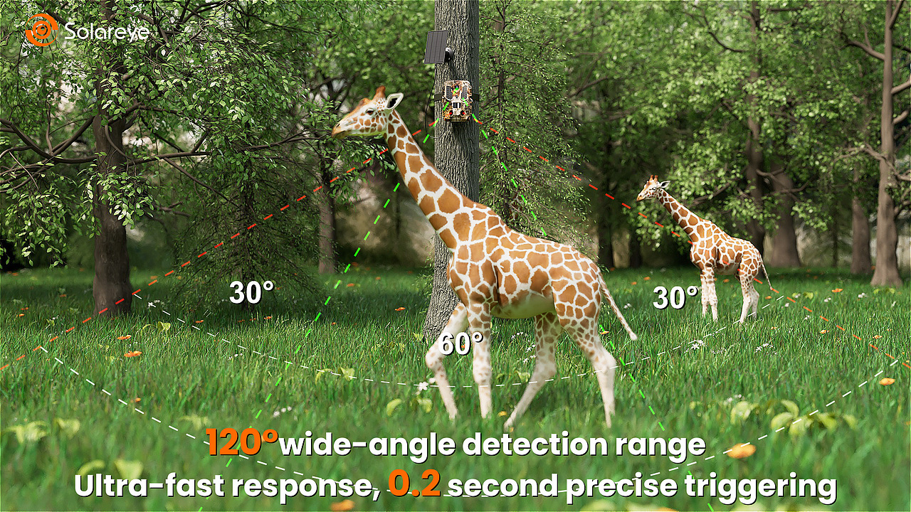 打猎相机产品动画（图ZMzg0NDIxODky） - 动画/影视 - 站酷设计师疾风吧原创素材 - 站酷ZCOOL