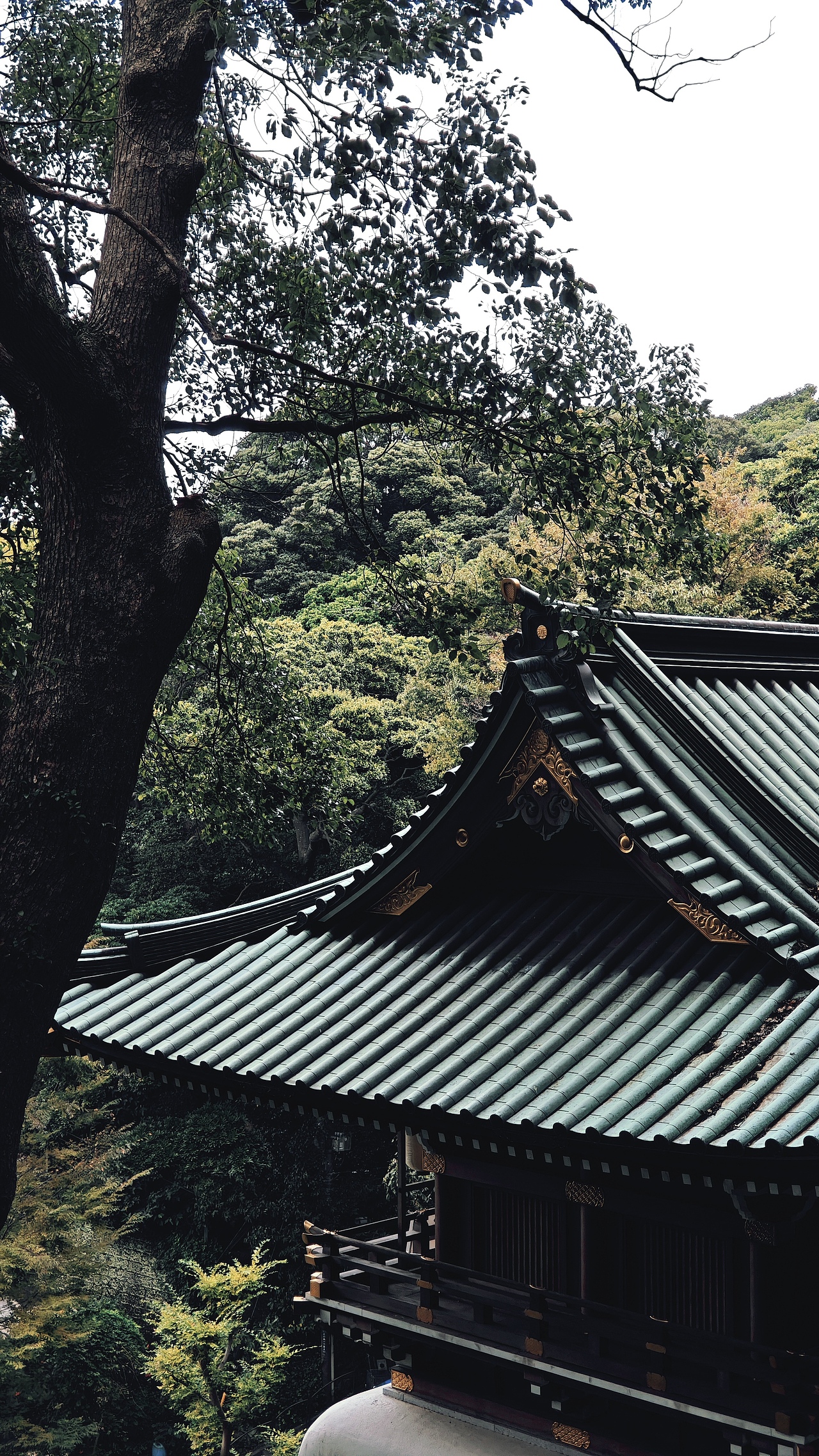 横滨的一些街拍（图ZMzg0NDMxOTAw） - 风光摄影 - 站酷设计师元寸视觉原创素材 - 站酷ZCOOL