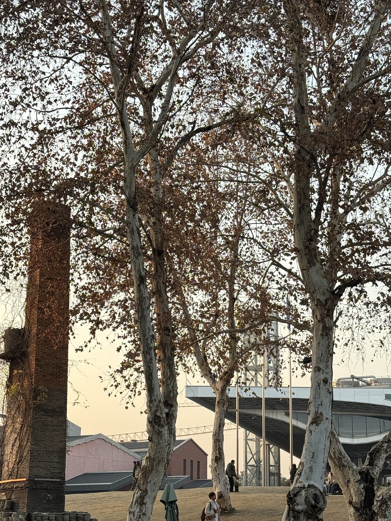 暴走陶溪川的一天