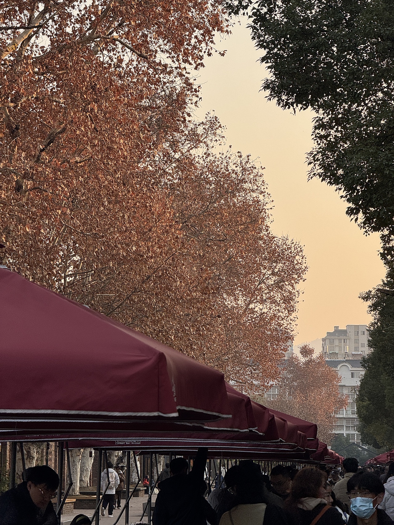 暴走陶溪川的一天