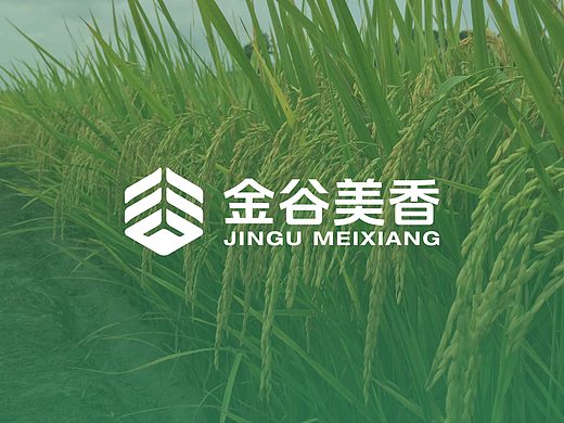 中汇设计X金谷美香农业品牌VI设计