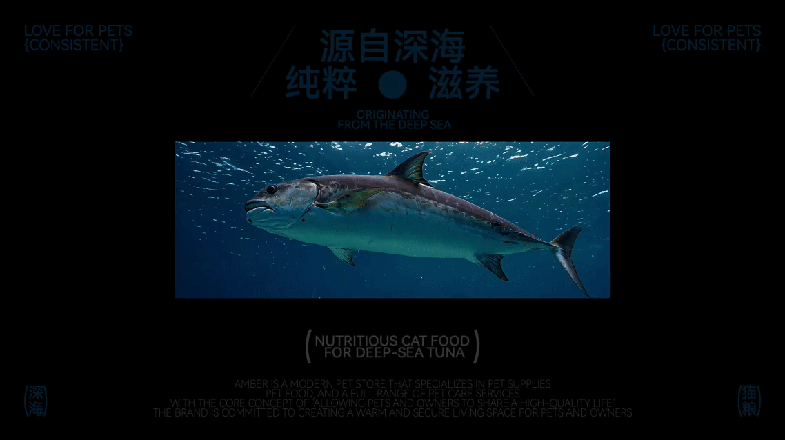深海鱼猫粮 | 琥珀品牌设计×老黑