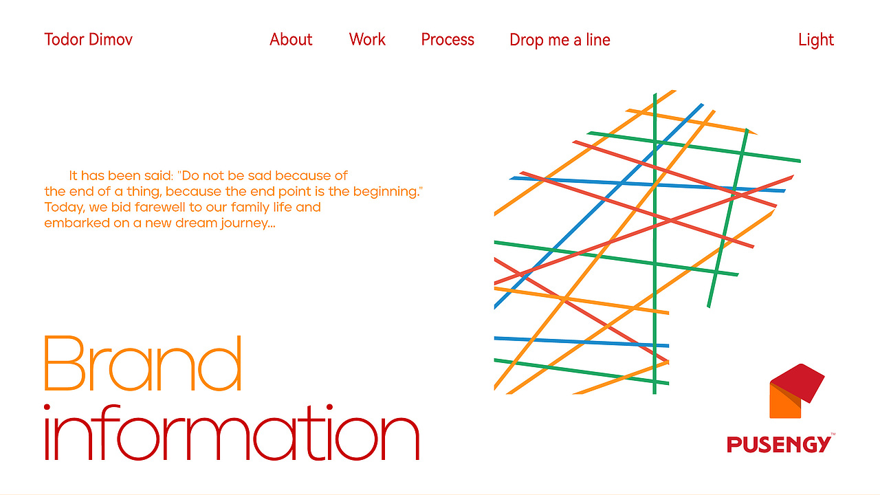 PUSENGY|时尚品牌全案（图ZMzg0NDUxOTc2） - 品牌 - 站酷设计师牛YOU果原创素材 - 站酷ZCOOL