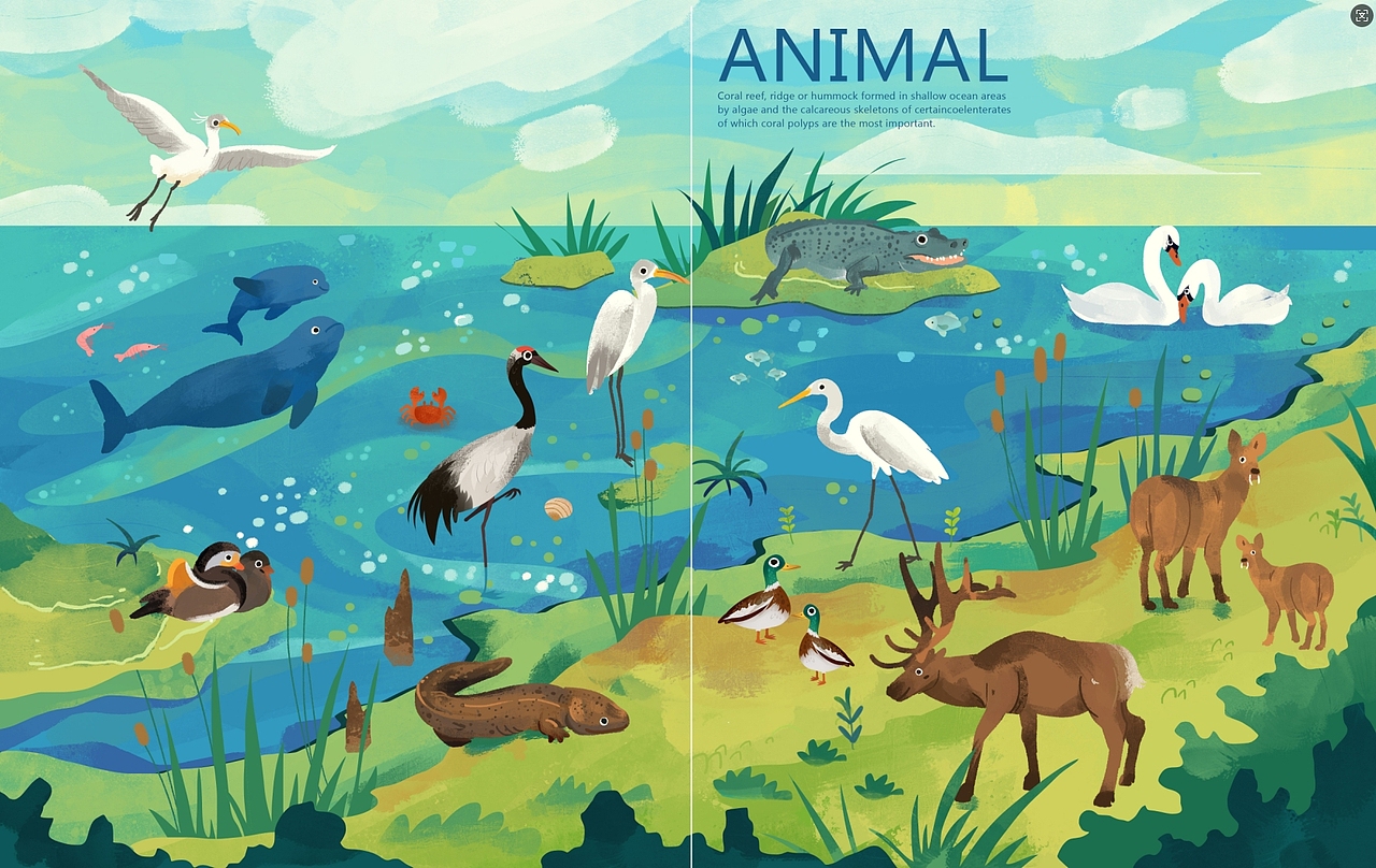 Language of nature（图ZMzg0NDYzMjE2） - 商业插画 - 站酷设计师水母咪原创素材 - 站酷ZCOOL