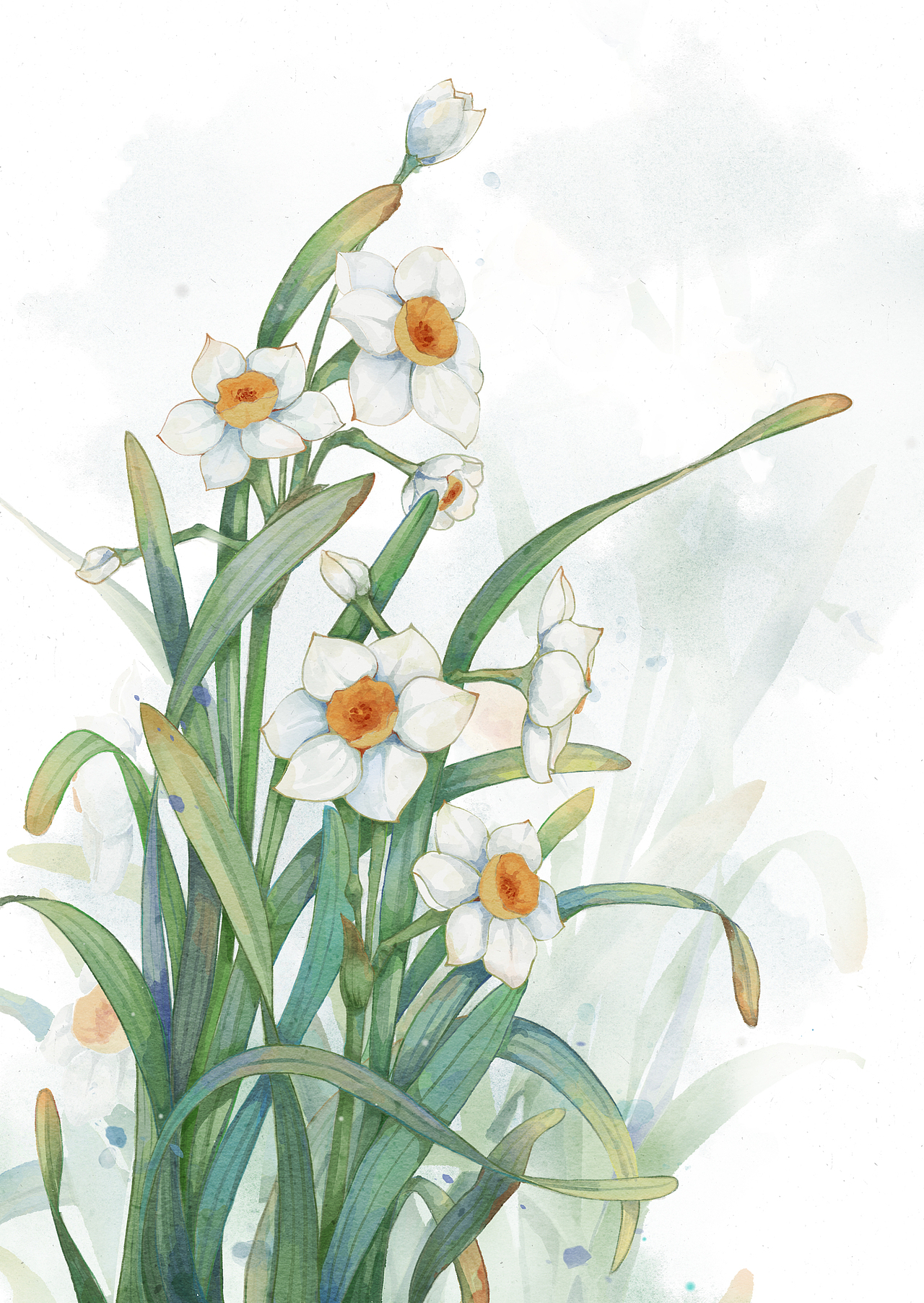 水彩花卉（图ZMzg0NDY4OTM2） - 艺术插画 - 站酷设计师凡希zzz原创素材 - 站酷ZCOOL