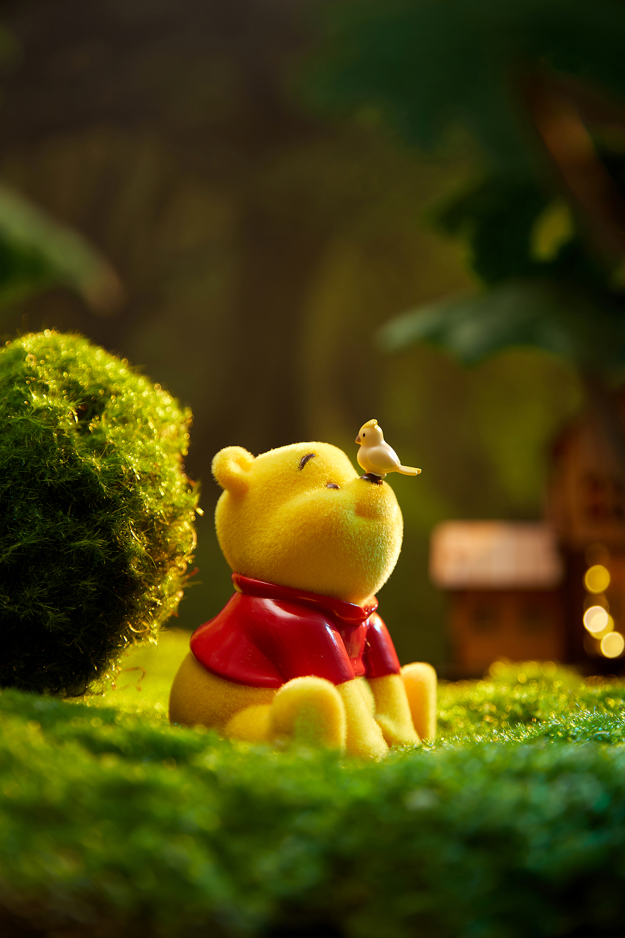 小鸟你好呀,我是维尼