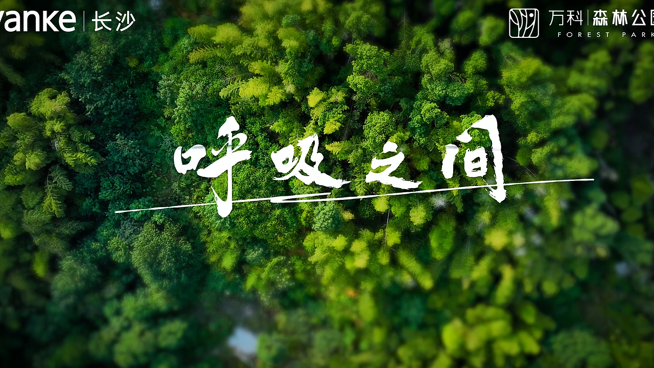 万科森林公园——臻玺《呼吸之间》