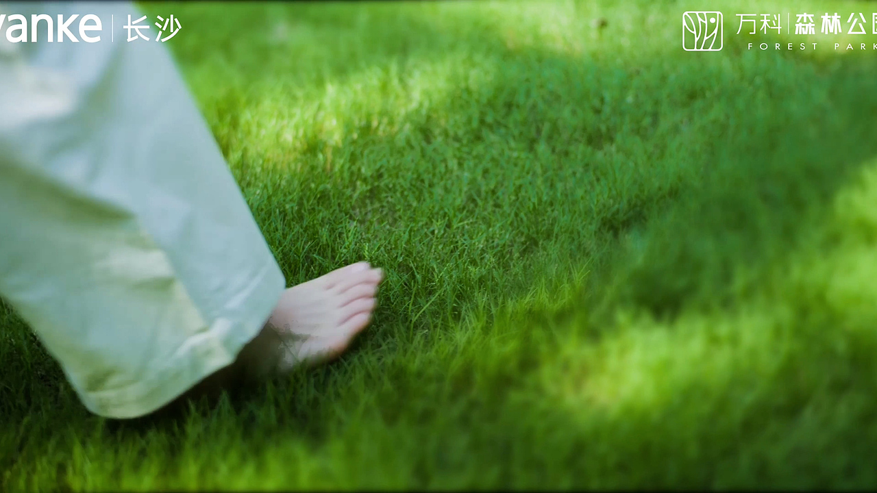 万科森林公园——臻玺《呼吸之间》