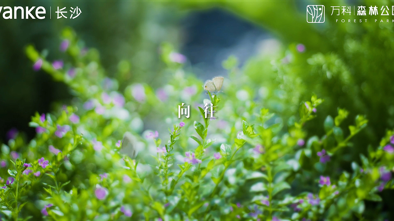 万科森林公园——臻玺《呼吸之间》