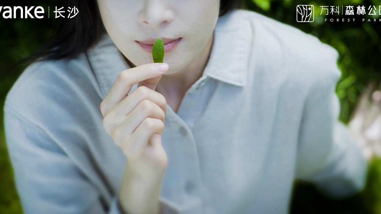 万科森林公园——臻玺《呼吸之间》