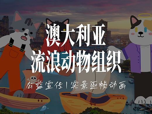 实景逐帧动画 | Infinitycat X 创意者-流浪猫公益宣传