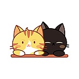 Fiona_习陵的头像