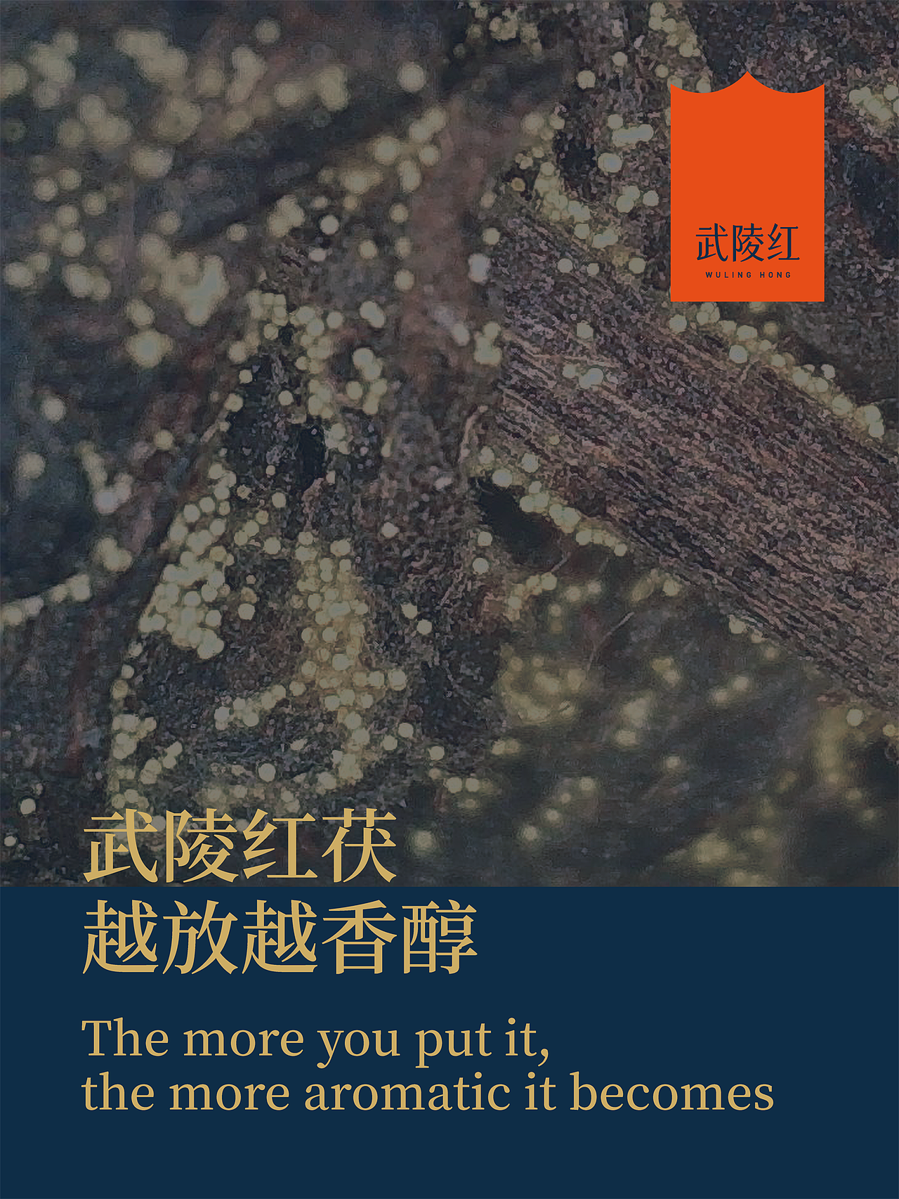 琢创意×武陵红丨《金花红茯》茶叶包装系列设计(图ZMzg0NTA0OTYw) - 包装 - 站酷设计师琢创意爆品茶设计原创素材 - 站酷ZCOOL