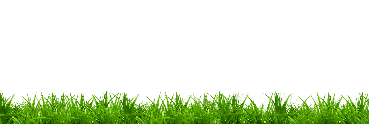 植物素材（图ZMzg0NTMwMTAw） - 其他 - 站酷设计师熊猫爱吃小竹子原创素材 - 站酷ZCOOL