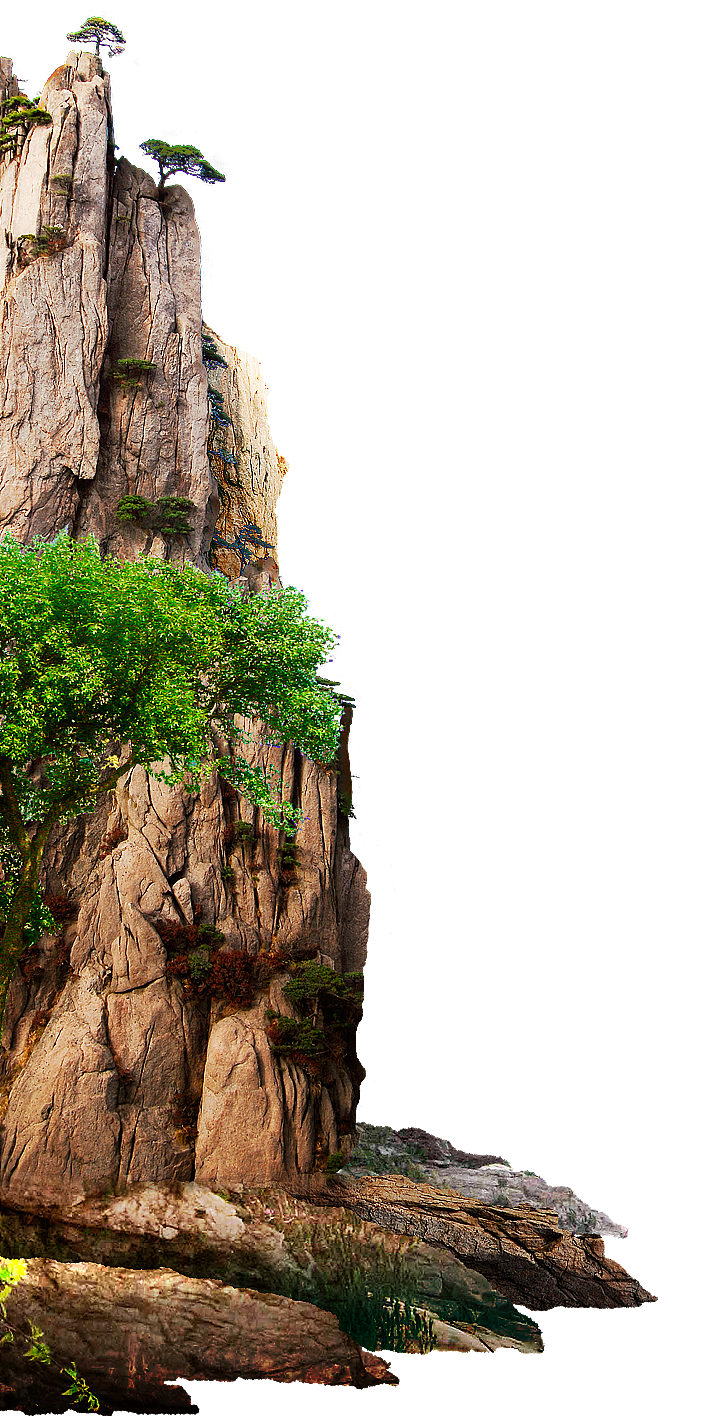 植物素材（图ZMzg0NTMwMTI0） - 其他 - 站酷设计师熊猫爱吃小竹子原创素材 - 站酷ZCOOL