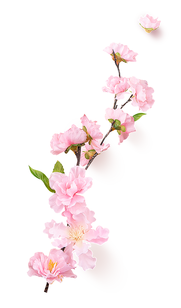 植物素材（图ZMzg0NTMwMTY0） - 其他 - 站酷设计师熊猫爱吃小竹子原创素材 - 站酷ZCOOL