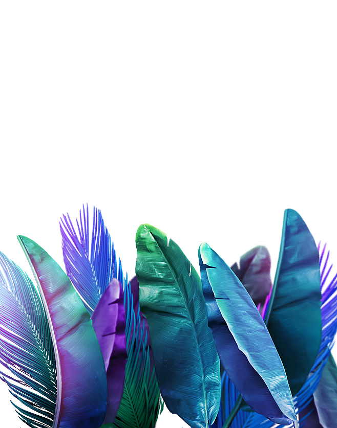 植物素材（图ZMzg0NTMwMjIw） - 其他 - 站酷设计师熊猫爱吃小竹子原创素材 - 站酷ZCOOL